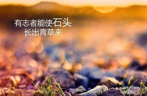 做微商賺不到錢？你是不是犯了這個(gè)錯(cuò)誤(圖1)