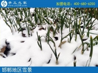 雪天串珠繡，足不出戶在家賺錢(qián)！邯鄲魏縣賈女士的手工活兼職記