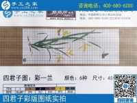 手工之家雅薇麗珠繡圖紙展示：一學(xué)就會(huì)，一看就懂的手工活！